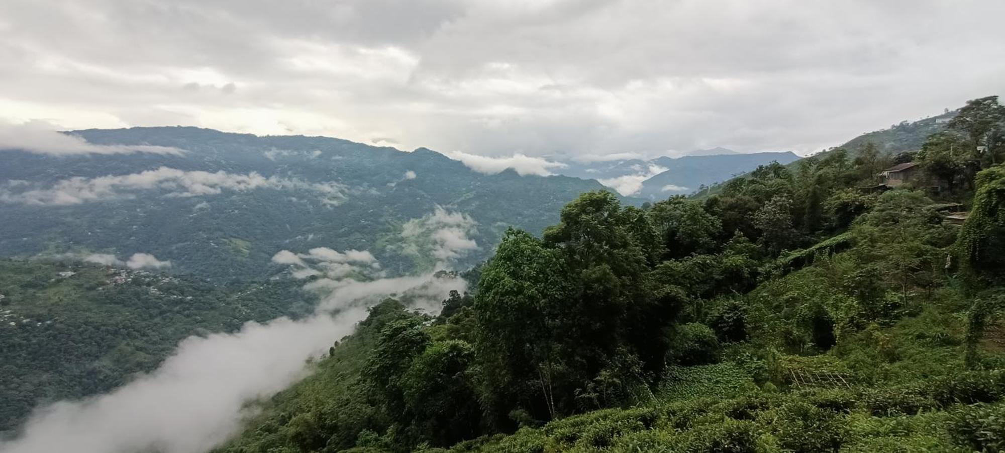 Tharbaling Homestay Дарджилинг Экстерьер фото